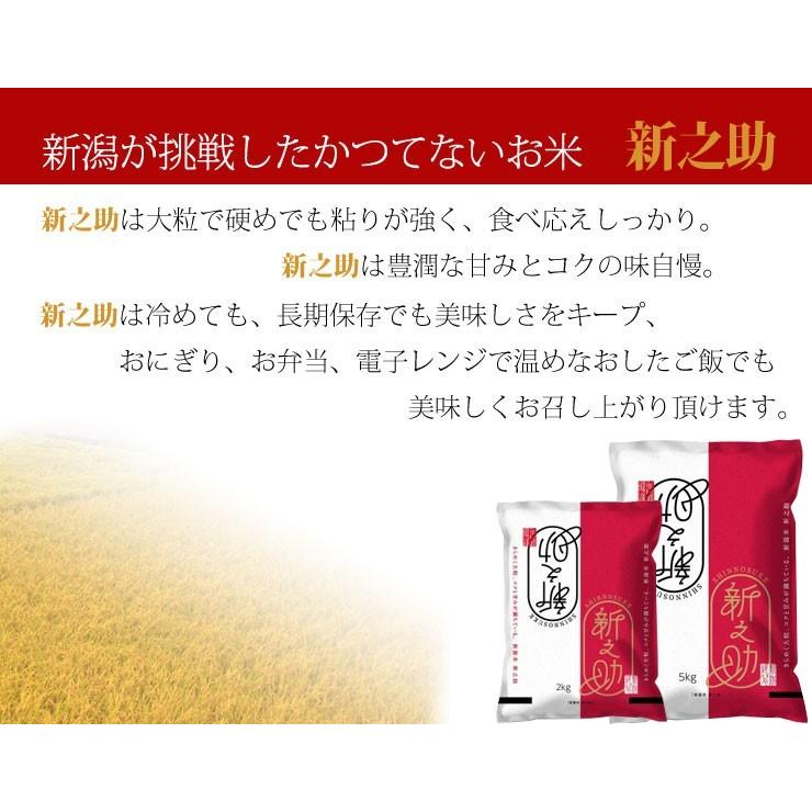 新之助 新米 お米 15kg(5kg×3) 令和7年産 送料無料 産地直送米 1