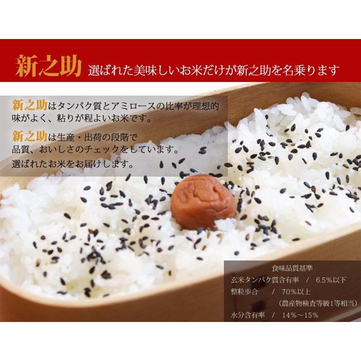 新之助（しんのすけ） お米 15kg(5kg×3) 令和7年産 送料無料 産地直送