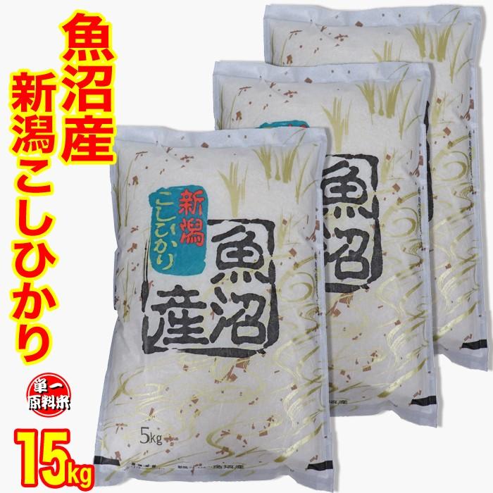 コシヒカリ 新米 お米 魚沼産コシヒカリ 15kg(5kg×3) 令和7年度