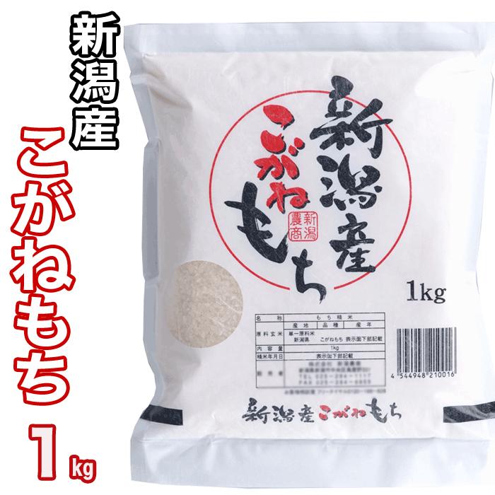 こがねもち もち米の王様 新潟県産 1kg 令和7年産 最高級品もち米【100