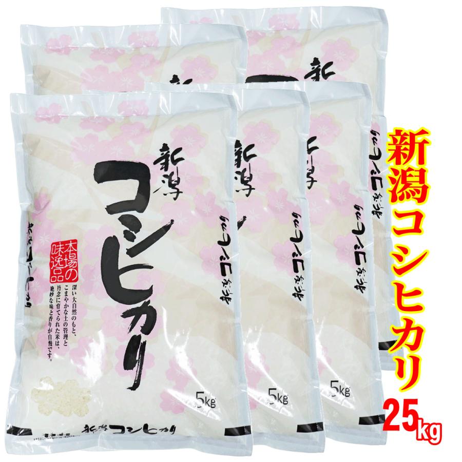 コシヒカリ 新米 新潟県産コシヒカリ 25kg (5kg×5) 令和7年産