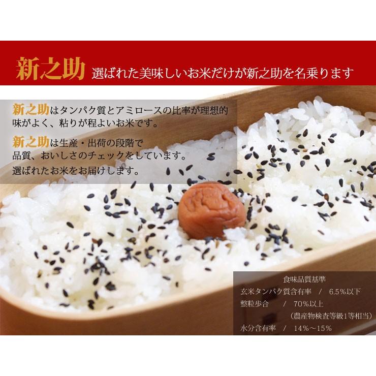 新之助（しんのすけ） お米 新潟産 2kg 産地直送米 令和7年産 新潟最高