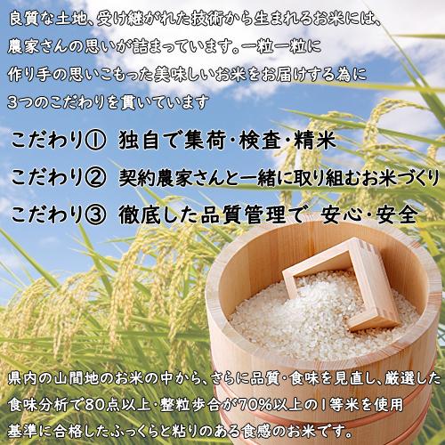 新之助（しんのすけ） 新潟 お米 食べ比べセット 令和7年産 新潟産