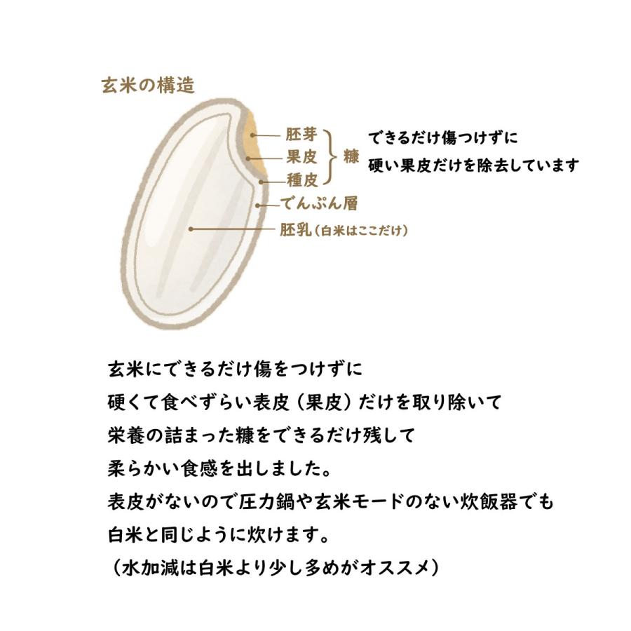 玄米 ふつうの炊飯器で 炊ける ４kg（2kg×2） 新潟県産 コシヒカリ 新潟 お米 送料無料　低温倉庫管理｜yokogoshi｜02