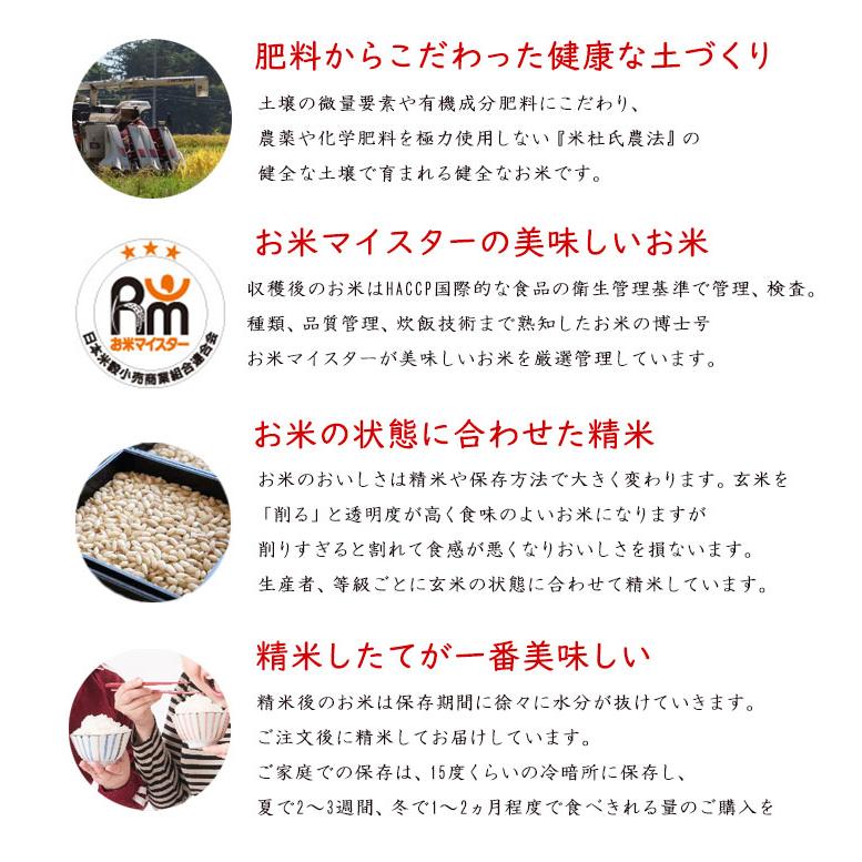 コシヒカリ お米 米 魚沼産 こしひかり 5kg 米杜氏ブランド 送料無料