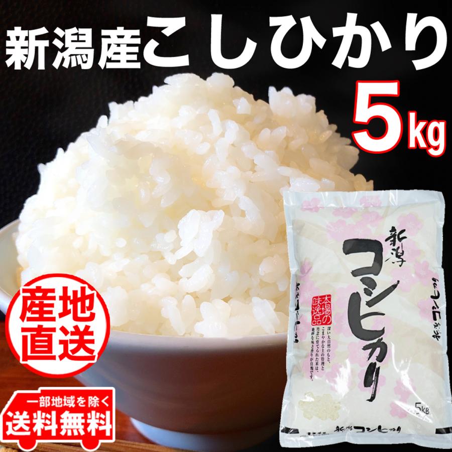 ☆五ツ星お米マイスター厳選米 令和5年産 新潟県産 コシヒカリ 5kg 白米 食味分析80点以上 新潟コシヒカリ 精米仕立て 低温倉庫管理 新潟 コシヒカリ お米 5kg｜yokogoshi｜02