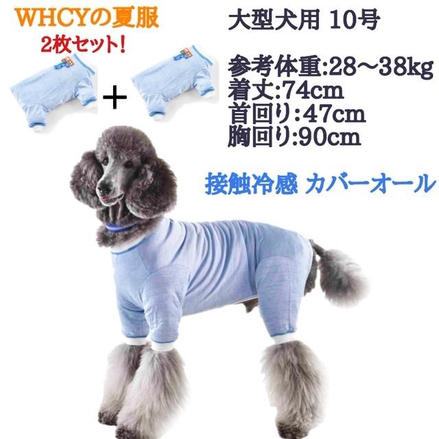 大型犬 夏服 術後着 Tピース 10号 2枚セット Epsi Rating Com
