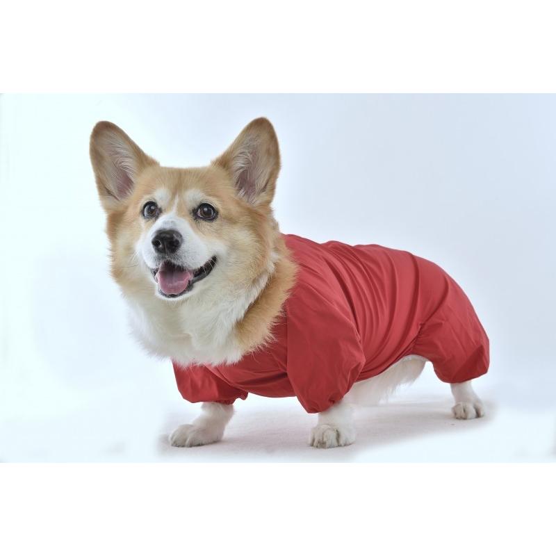 New コーギー用 レインコート 高性能 スヌード付き Ss S M J J Corgi Aka 横濱カート 通販 Yahoo ショッピング