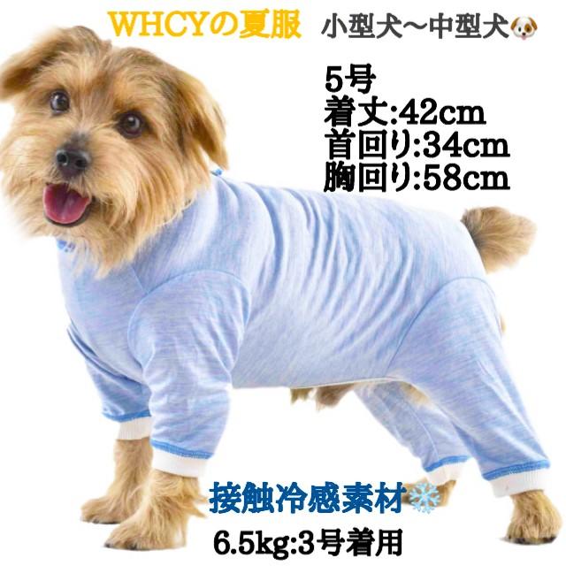 小型犬 中型犬 夏服 術後着 Tピース 5号 Tp Q Max 5go 横濱カート 通販 Yahoo ショッピング
