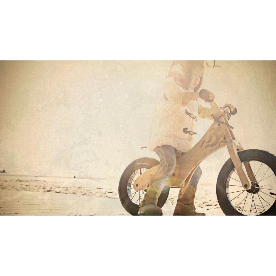 極美品　使用頻度少ない　EARLY RIDER キッズバイク EARLY RIDER / KIDS RUNBIKES | VelostyleTICKET