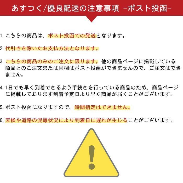 野球 シューズケース 名入れ シューズバッグ シューズ袋 ミズノプロ ミズノ 巾着 記念品 おしゃれ 11GZ170000 | MIZUNO | 06