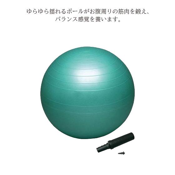スポーツ バランスボール 野球 練習用具 トレーニング グッズ 器具 筋トレ バランスボールセイフティー 65cm ポンプ付き Db65p Db65p リバーアップ 通販 Yahoo ショッピング