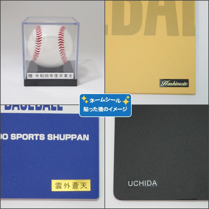 MIZUNO（ミズノ） 名入れ付き ファイルケース バインダー ケース