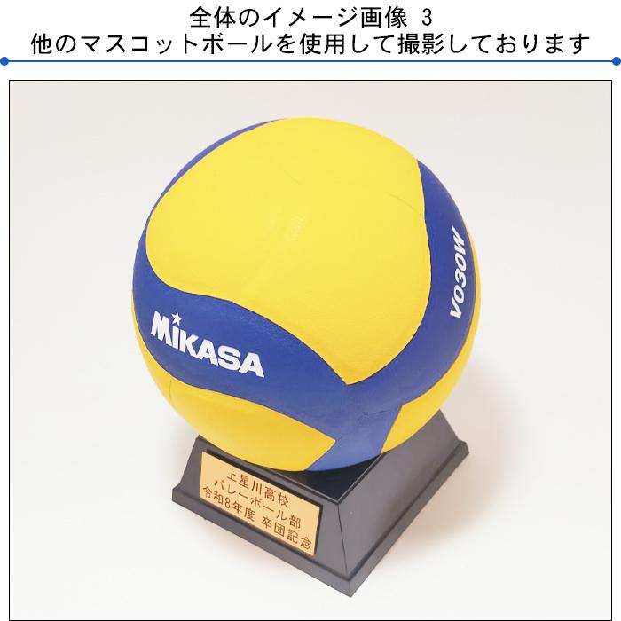 直筆サイン入り！Mikasa マスコットボール サイン入り ミカサ マスコットドッジボール【サインボール】 - DODGEFAN