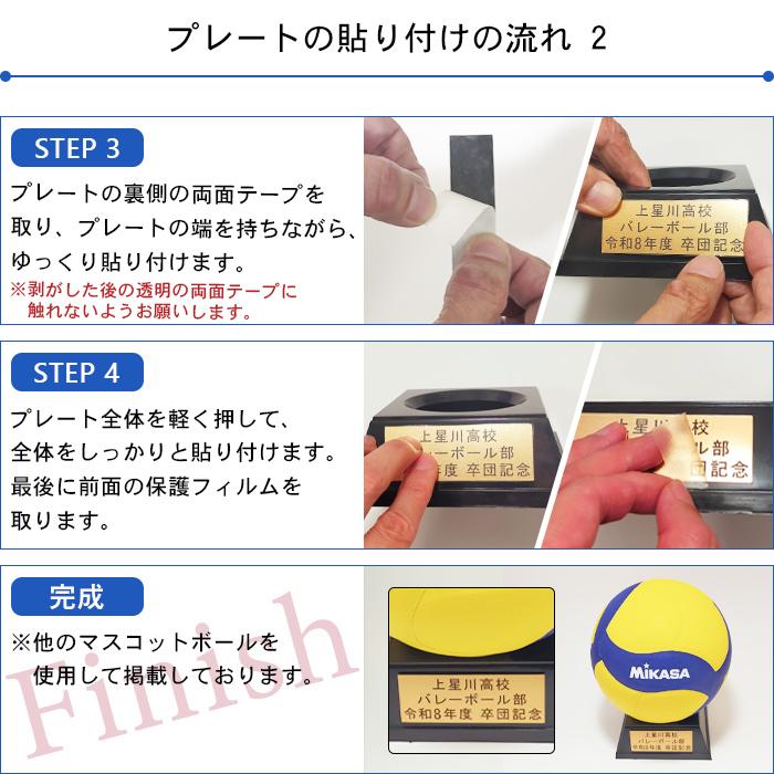 MIKASA（スポーツ） 名入れプレート付き バスケットボール 記念