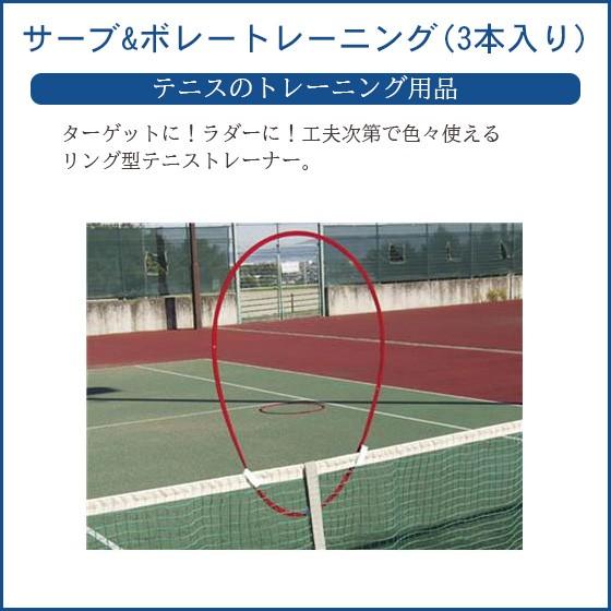 テニス 練習器具 ネット 練習 1人 サーブ ボレートレーニング 3本入り Tx34se Tx34se リバーアップ 通販 Yahoo ショッピング
