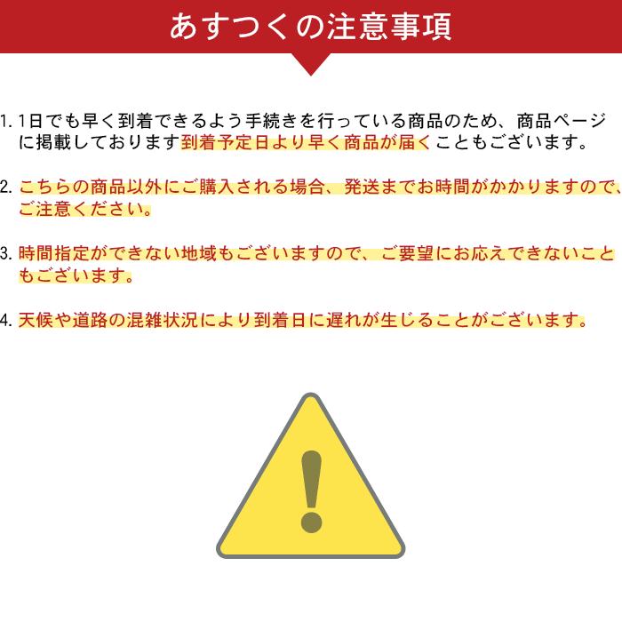 名入れ無料 サッカー リュック ジュニア 子供 アンブロ バッグ ボール収納 フットボールバックパック(ボールネット付) UJS1200J｜yokohamariverup｜13