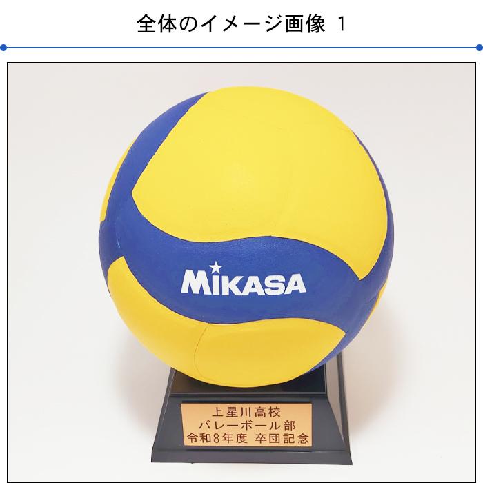 MIKASA（スポーツ） 名入れプレート付き バレーボール卒団記念品