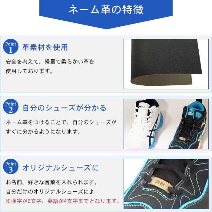 名入れ無料 バスケットシューズ ジュニア ミズノ キッズ バスケットボールシューズ 紐 バッシュ ルーキーbb5 W1gc1970 W1gc1970 リバーアップ 通販 Yahoo ショッピング