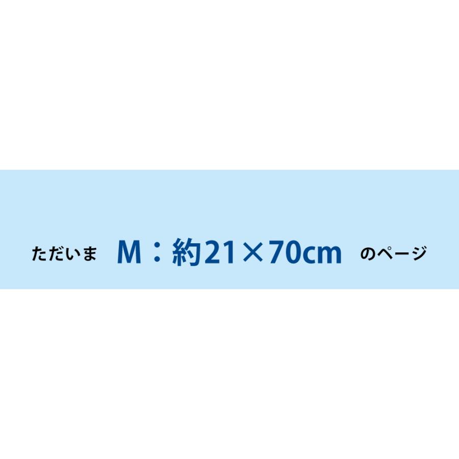 ネッククーラー 東レ エアロタッシェ クールタオル ひんやりタオル 冷感タオル 冷却 冷感 タオル M 日本製 熱中症対策 夏 冷たいタオル スポーツ 運動 | TORAY | 04