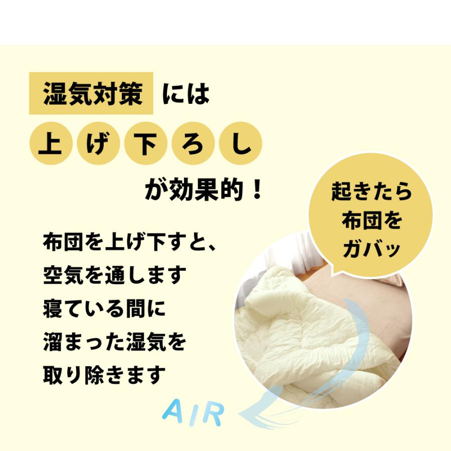 TEIJIN 掛け布団 肌掛け 防ダニ 洗える 2枚合わせ シングル 日本