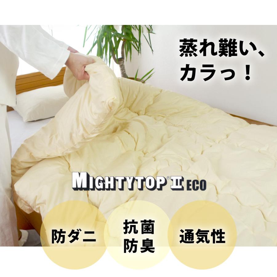 TEIJIN（テイジン） 掛け布団 肌掛け 防ダニ 洗える 2枚合わせ ダブル