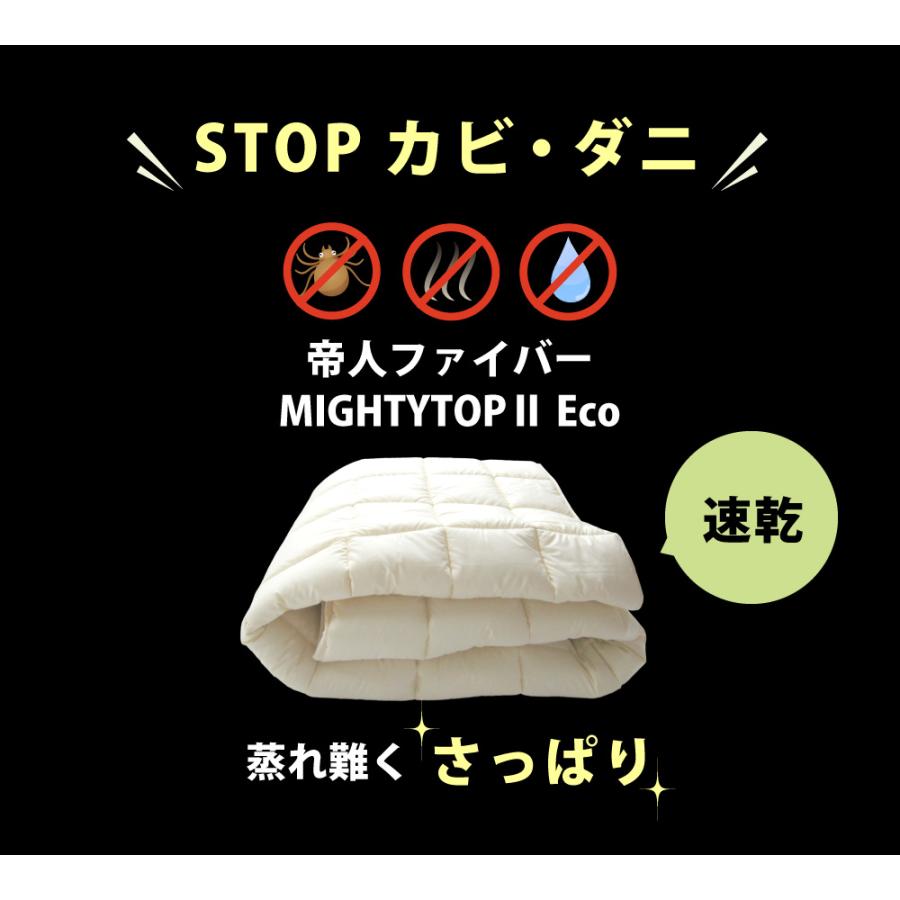 TEIJIN（テイジン） 敷きパッド ベッドパッド 防ダニ 洗える 日本製