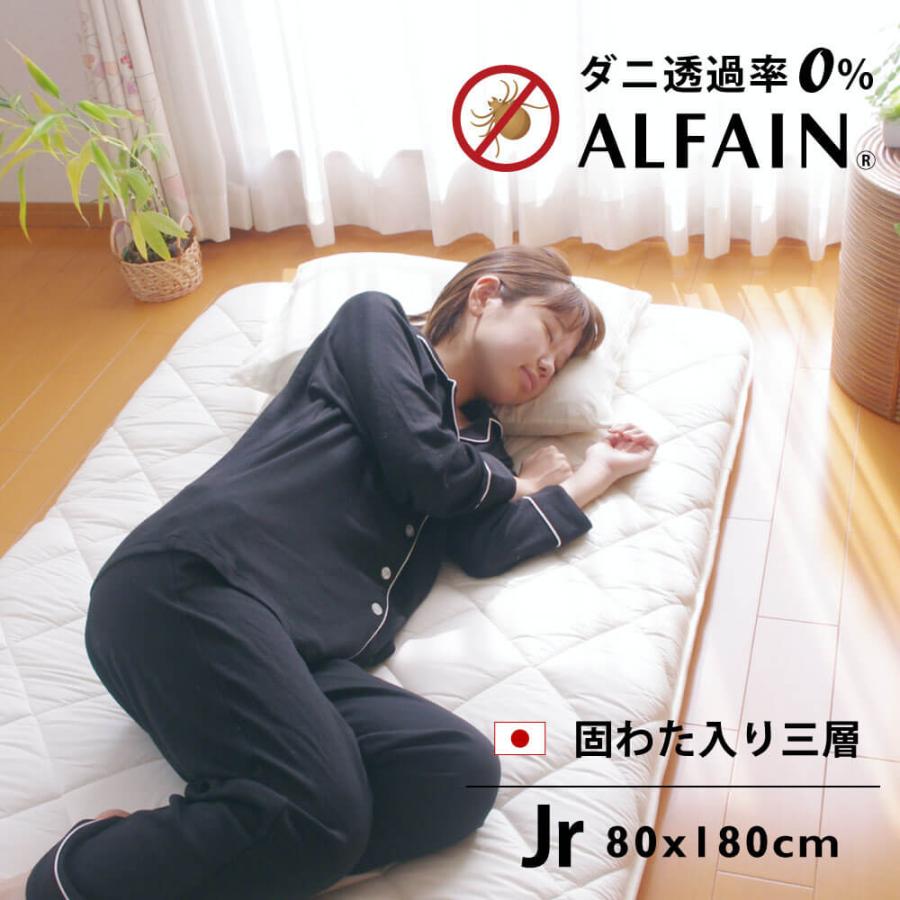TEIJIN 敷き布団 丸ごと 防ダニ 日本製 セミシングル 80×180cm