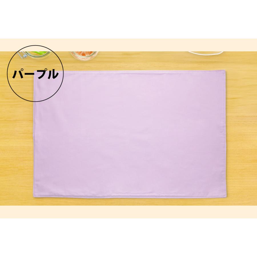 ランチョンマット 色が選べる 3枚セット 大判 40×60 日本製 給食