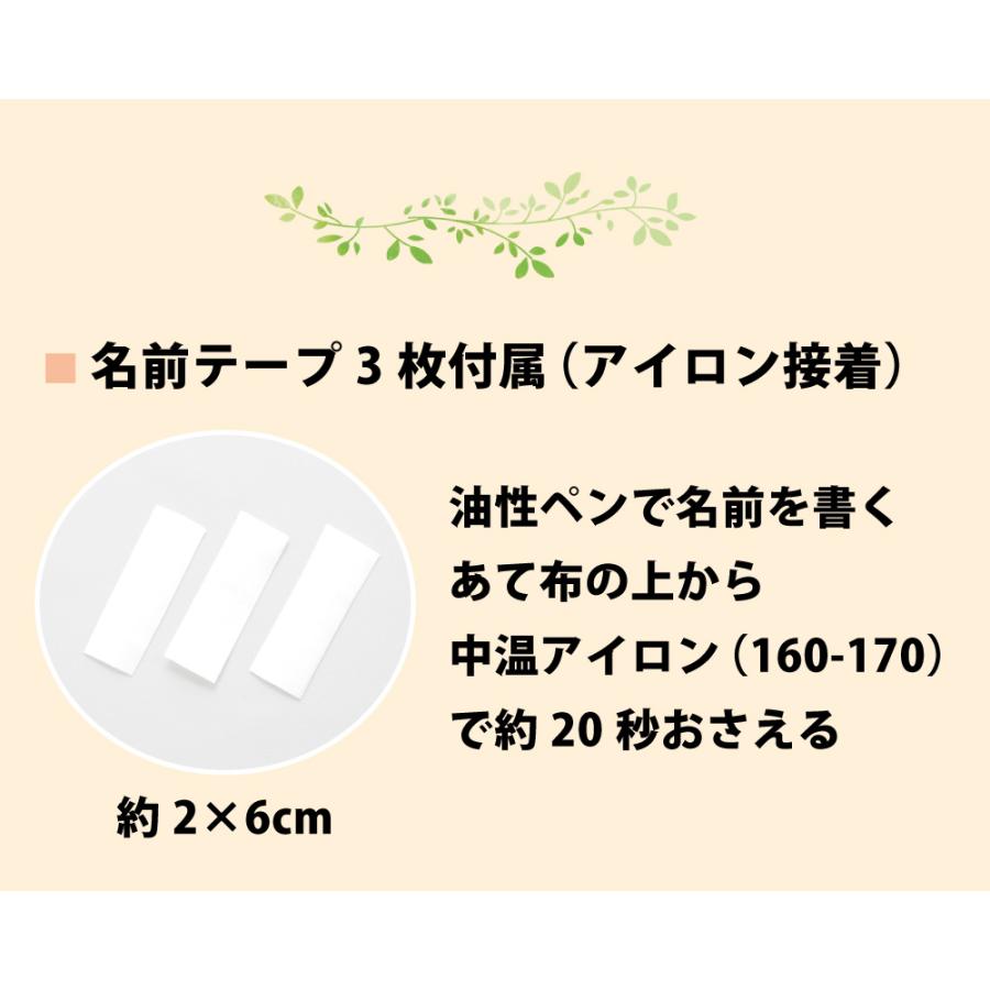 ランチョンマット 色が選べる 3枚セット 大判 40×60 日本製 給食