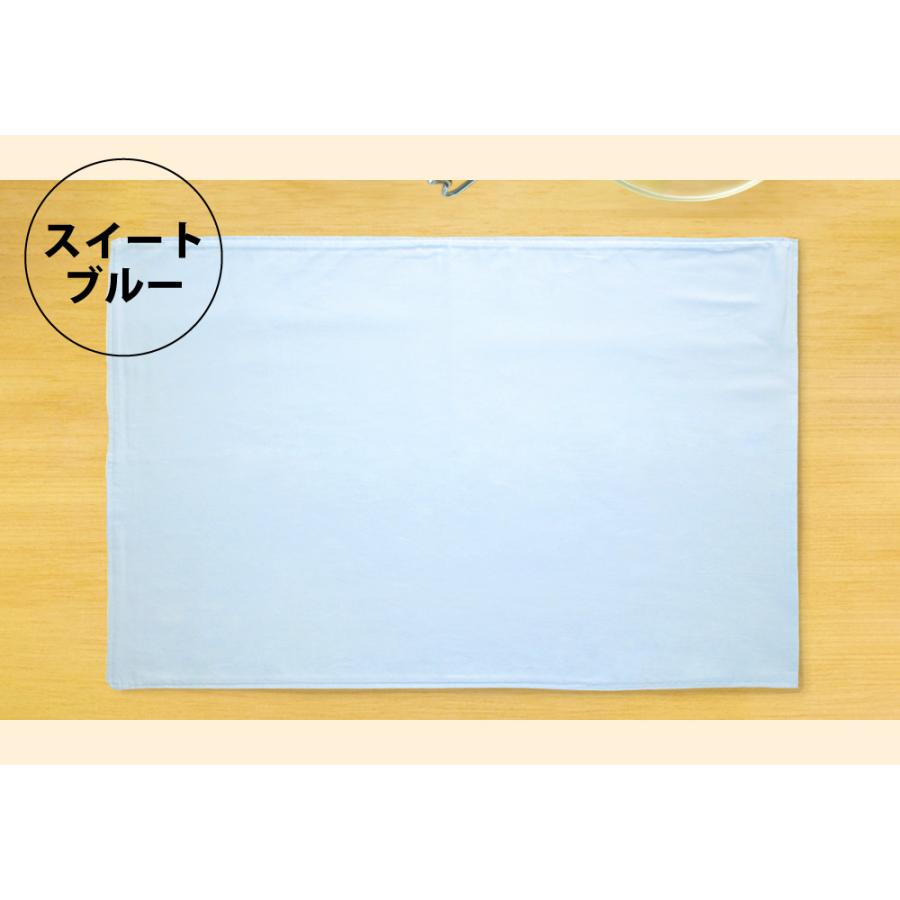 ランチョンマット 色が選べる 3枚セット 大判 40×60 日本製 給食