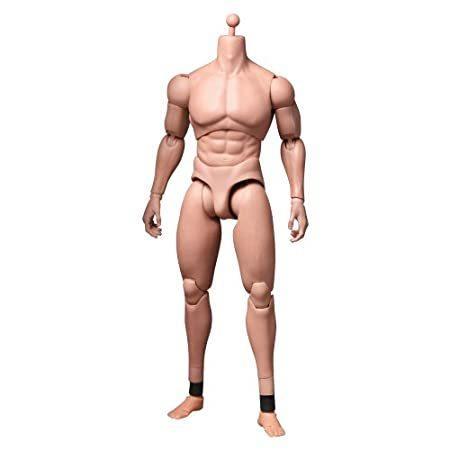 正規品 ホットトイズ トゥルータイプ 1 6スケールフィギュア素体 ベーシック 白人男性 アドバンス マスキュラー ボディー版 流行に Mantraahc Com