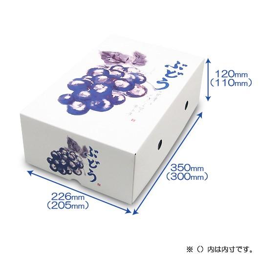ぶどうの箱 ぶどう箱 ブドウ 葡萄 化粧箱 ギフトボックス 紙箱 ギフト箱 フルーツ箱 果物箱 フルーツギフト 青果 (代引不可) もぎたてのぶどう 2K 200セット_1