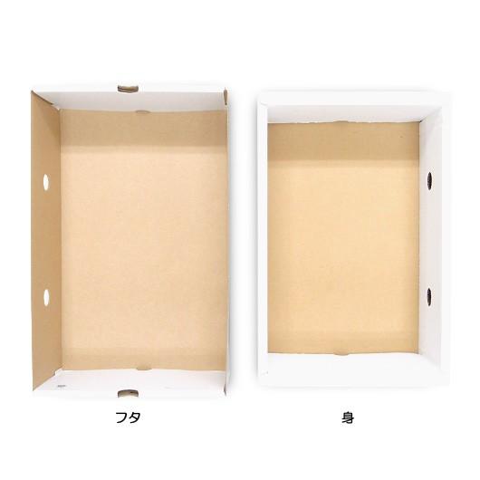 ぶどうの箱 ぶどう箱 ブドウ 葡萄 化粧箱 ギフトボックス 紙箱 ギフト箱 フルーツ箱 果物箱 フルーツギフト 青果 (代引不可) もぎたてのぶどう 2K 200セット_2