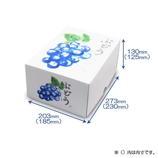 ぶどうの箱 ぶどう箱 ブドウ 葡萄 化粧箱 ギフトボックス 紙箱 ギフト箱 フルーツ箱 果物箱 フルーツギフト 青果 (代引不可) もぎたてのぶどう 小 200セット_1