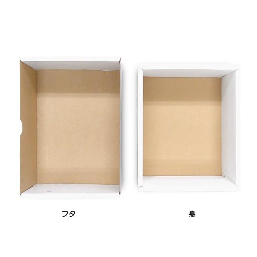 ぶどうの箱 ぶどう箱 ブドウ 葡萄 化粧箱 ギフトボックス 紙箱 ギフト箱 フルーツ箱 果物箱 フルーツギフト 青果 (代引不可) もぎたてのぶどう 小 200セット_2