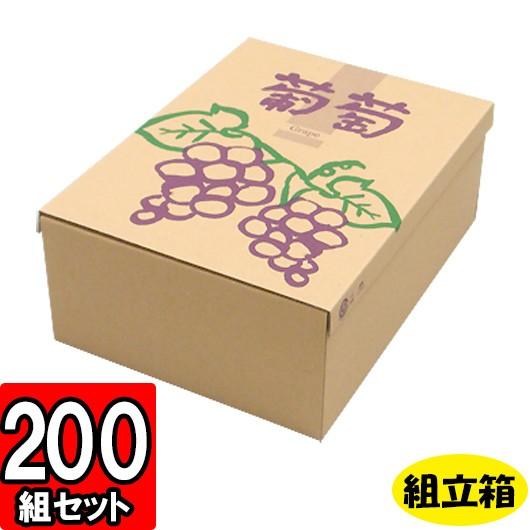ぶどうの箱 ぶどう箱 ブドウ 葡萄 化粧箱 ギフトボックス 紙箱 ギフト箱 フルーツ箱 果物箱 フルーツギフト 青果 (代引不可) サービスぶどう 200セット