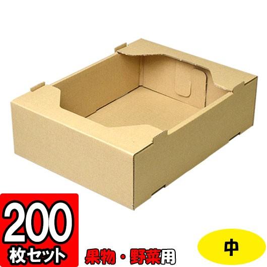 野菜箱 フルーツ箱 果物箱 ダンボール 段ボール 無地 化粧箱