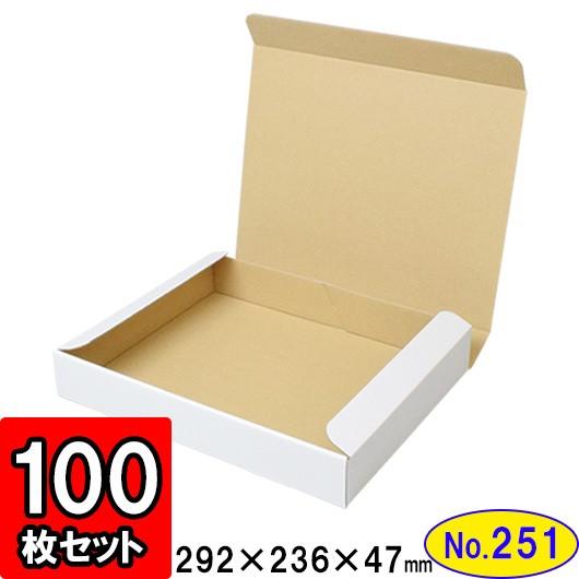 ダンボール箱 段ボール箱 クラフトボックス ギフトボックス 白 無地 プレゼント用 梱包資材 梱包材 梱包用品 ダンボール N式箱 (No.251) 100枚セット