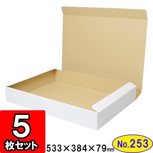 ダンボール箱 段ボール箱 クラフトボックス ギフトボックス 白 無地 プレゼント用 梱包資材 梱包材 梱包用品 ダンボール N式箱 (No.253) 50枚セット