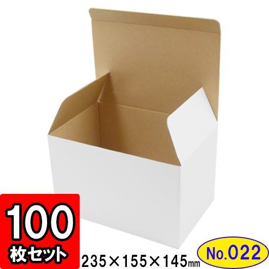 ダンボール箱 段ボール箱 クラフトボックス ギフトボックス 白 無地 プレゼント用 梱包資材 梱包材 梱包用品 ダンボール 底ロック箱 (No.022) 100枚セット