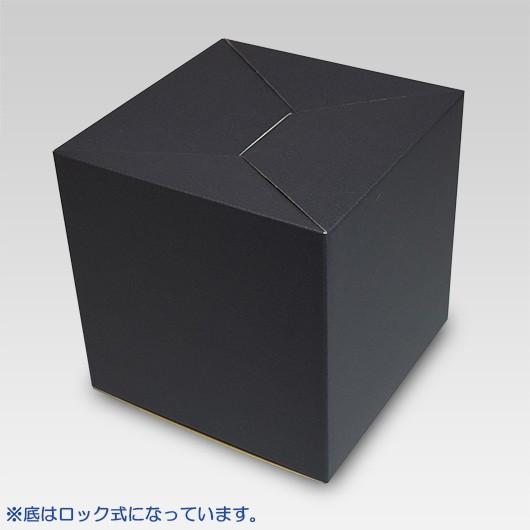 抽選ボックス くじ引き箱 つかみ取り箱 回収箱 応募箱 投票箱