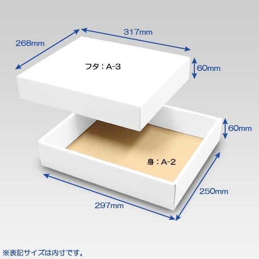ギフトボックス 紙箱 無地 ラッピング プレゼント用 収納 梱包 フリー