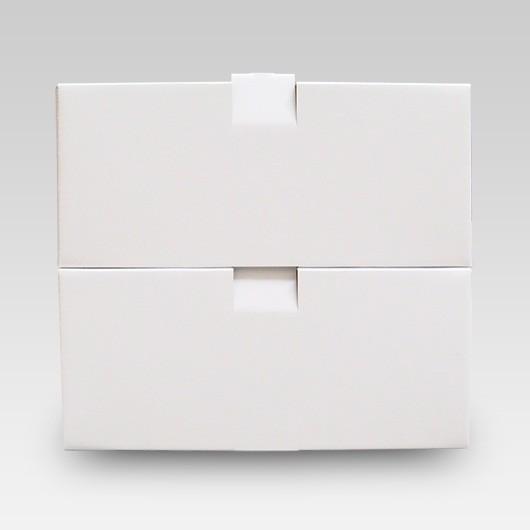 専用　フルーツシリーズ　2箱　シュリンク付き 化粧箱 ギフトボックス 紙箱 ギフト箱 フルーツ箱 果物箱