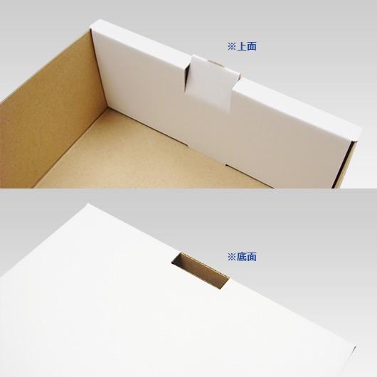 化粧箱 ギフトボックス 紙箱 ギフト箱 フルーツ箱 果物箱 フルーツギフト 贈答用 くだもの 青果 フルーツ 2パック入れ箱 通常版 (白) (身フタあり) 50セット_4