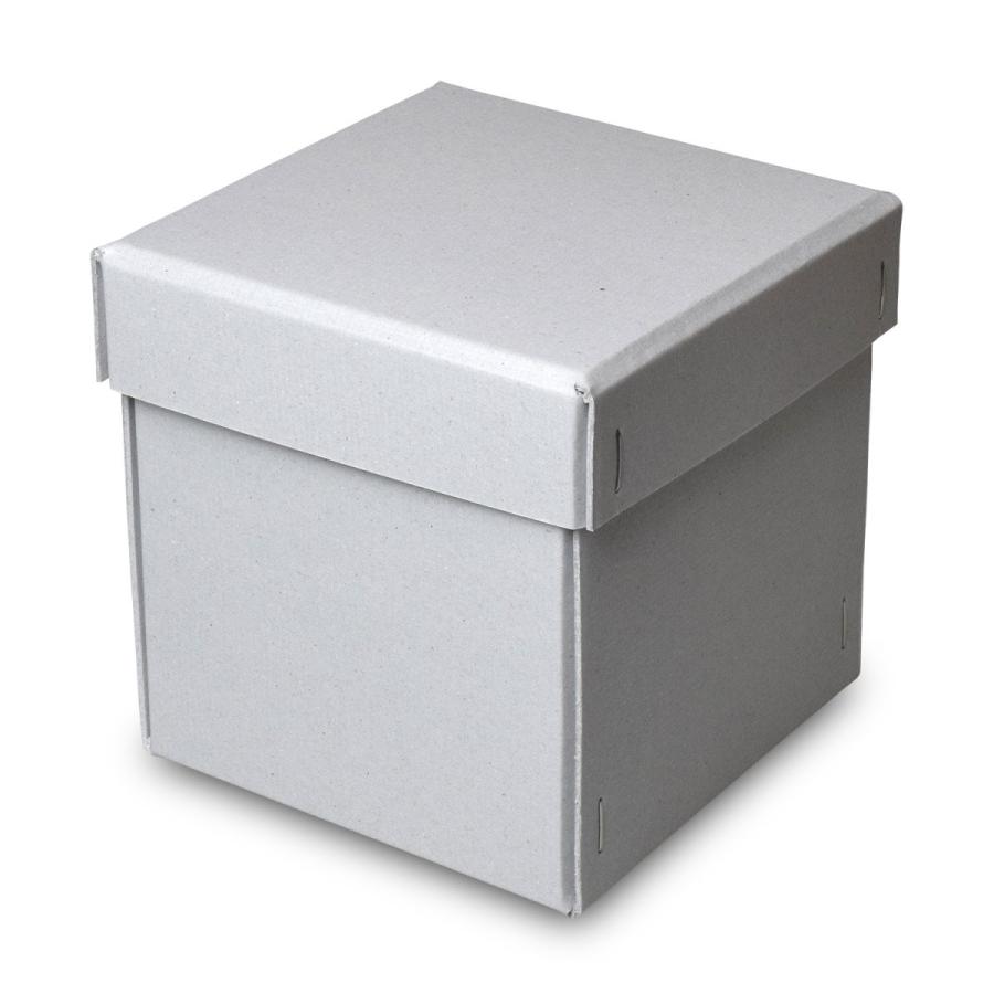 誕生日プレゼント用クラフト紙ボックス015