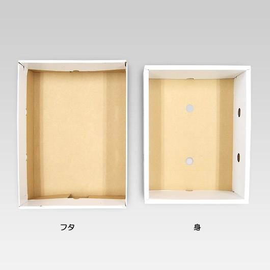 桃の箱 桃箱 化粧箱 ギフトボックス 紙箱 ギフト箱 フルーツ箱 果物箱 フルーツギフト もも モモ 贈答用 くだもの 青果 (代引不可) 桃の郷 2kg用 200セット_2