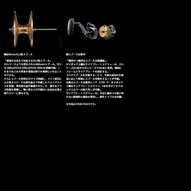 ダイワ 25ソルティガ 35