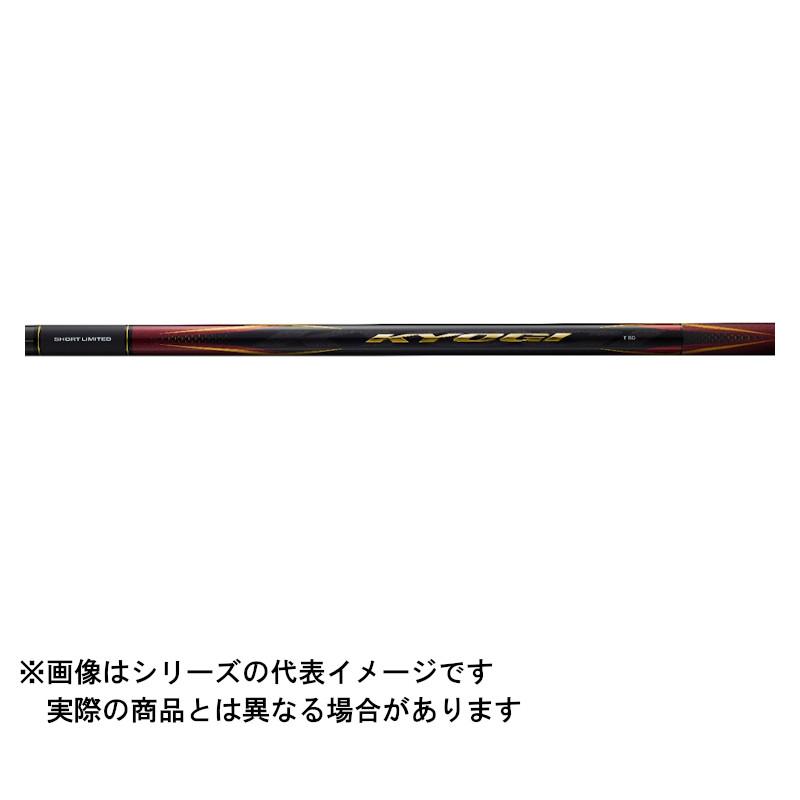 DAIWA（釣り） ダイワ 23 銀影競技 SHORTLIMITED T H80【大型