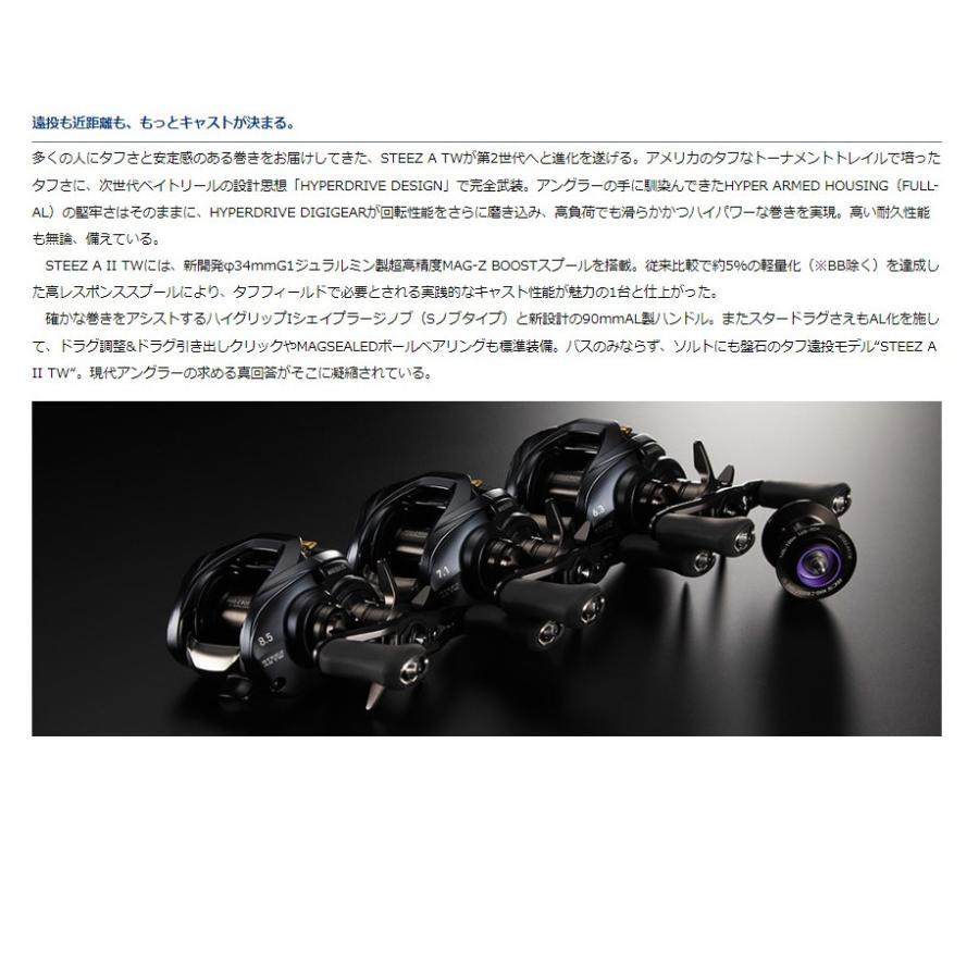 DAIWA（ダイワ） 22 スティーズ AII TW 1000H(右) : つり具のヨコオ